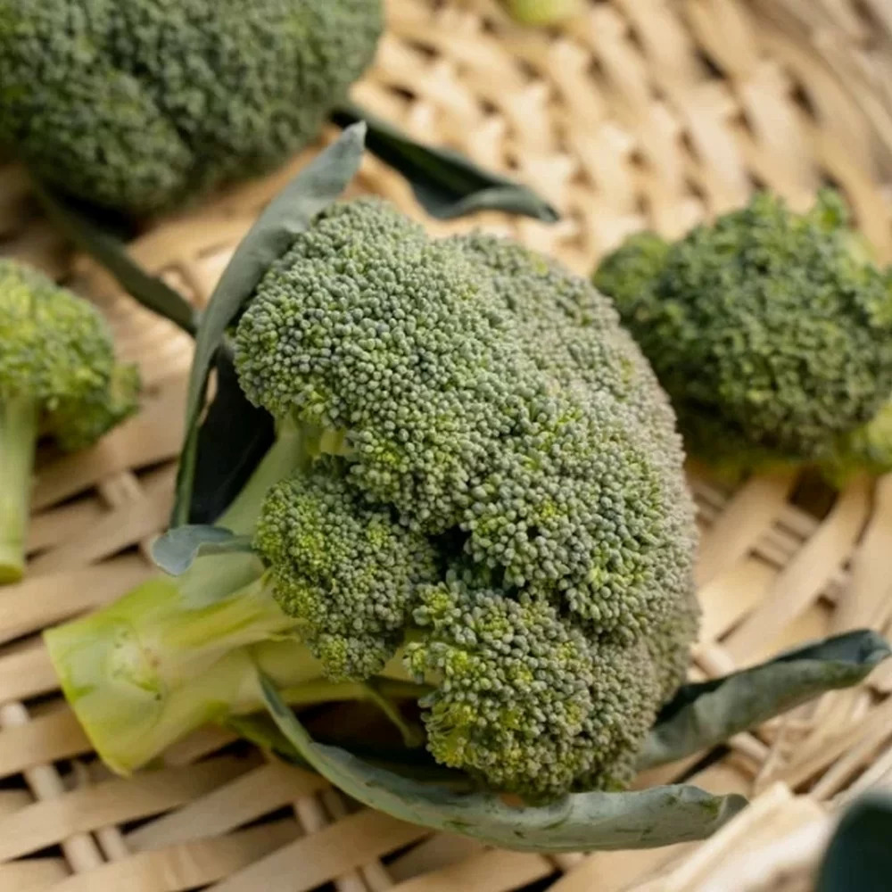 Капуста брокколи "Бести" F1 — изображение 3