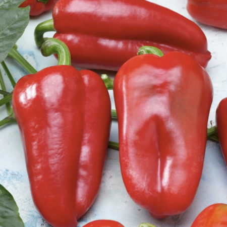 Перец "Фаст" F1