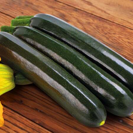 Кабачок "Сальвадор" F1