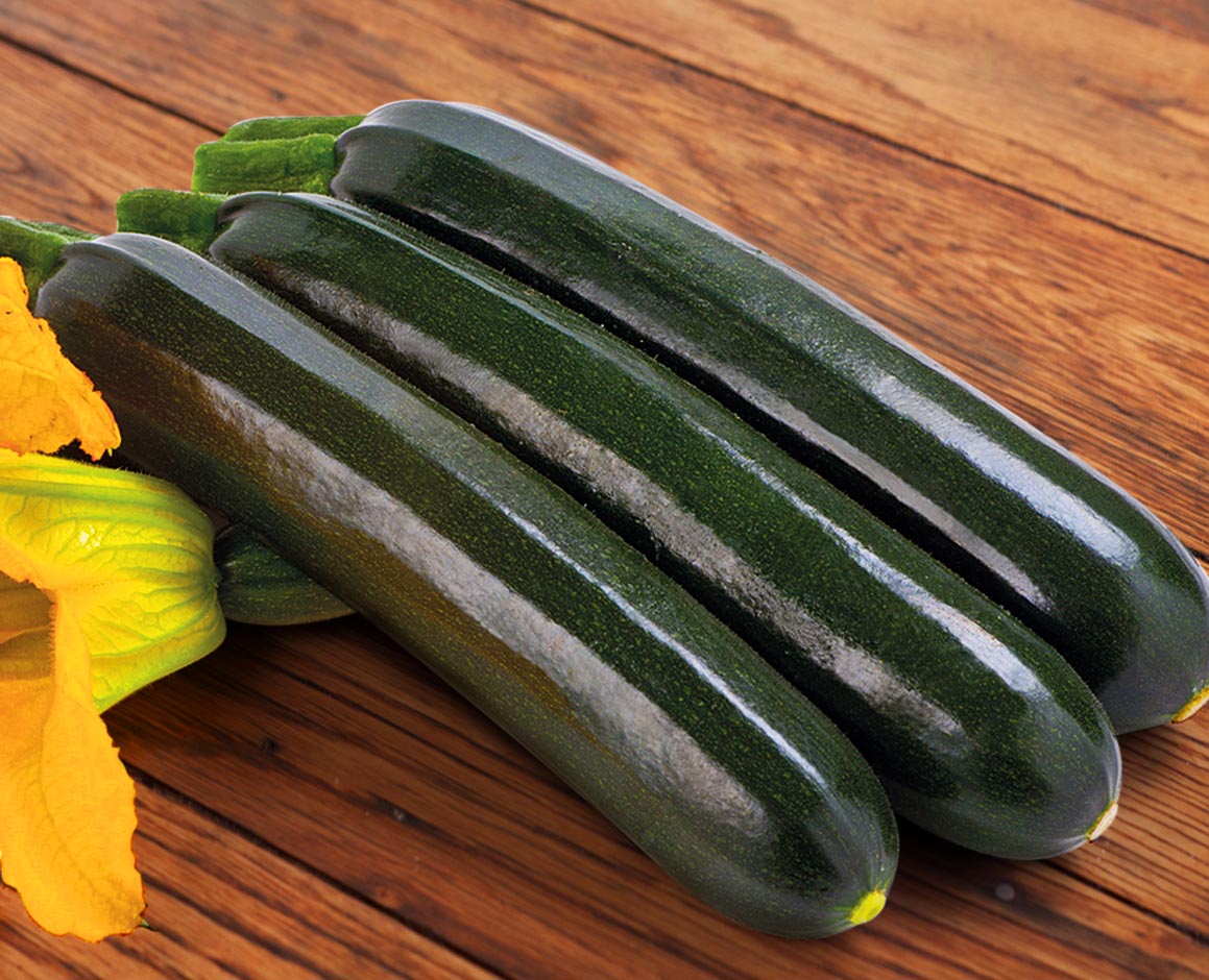 Кабачок "Сальвадор" F1