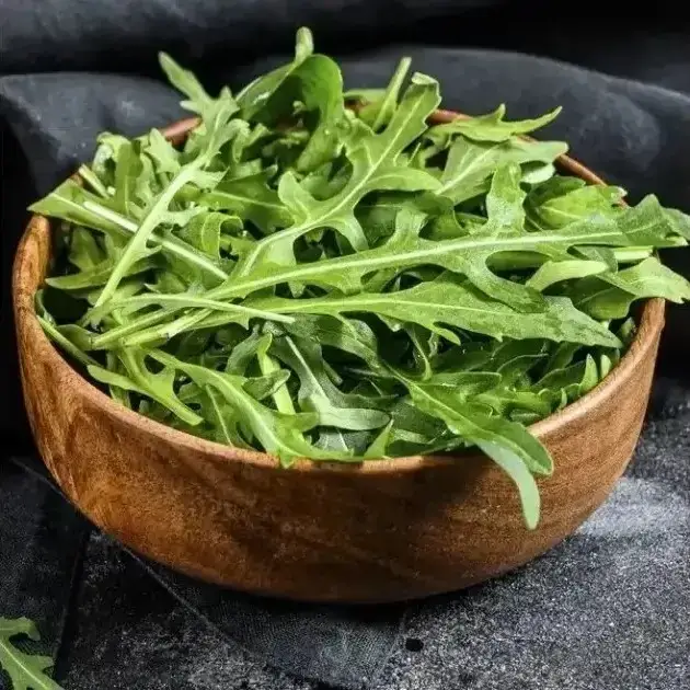 Руккола "Грация" — изображение 3