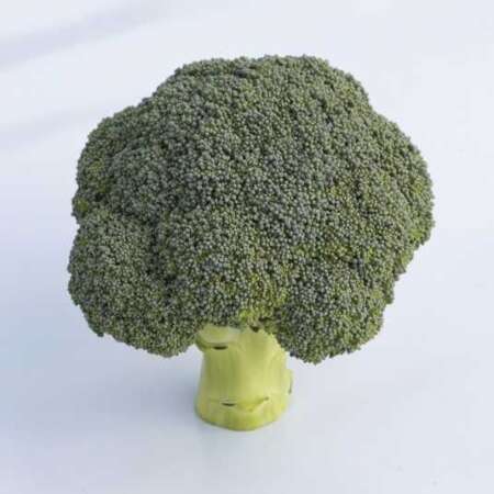 Капуста брокколи "Бести" F1