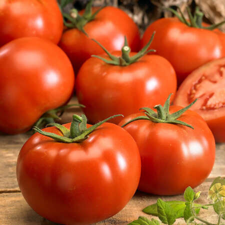 Томат "Толстой" F1