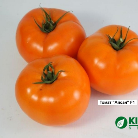 Томат "Айсан" F1