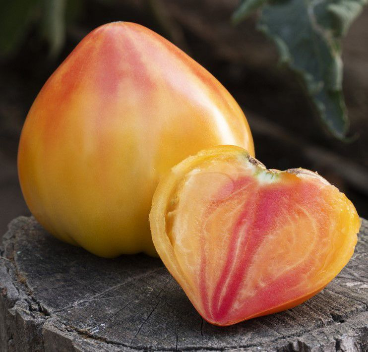 Томат "Мадрид" F1