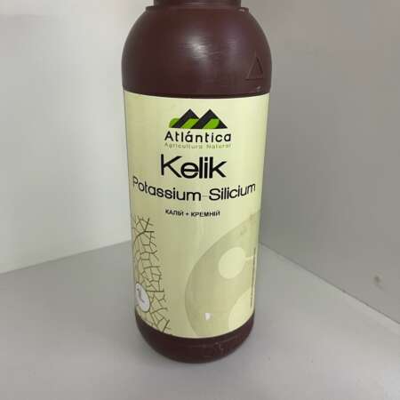 Келик Калий (Atlantica, Испания)