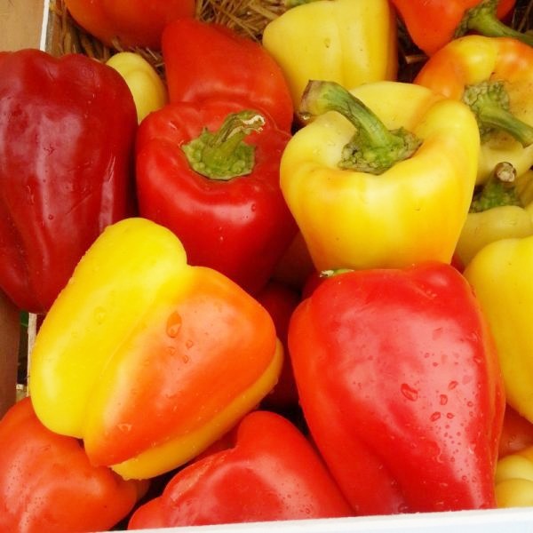 Перец "Барби" F1 — изображение 3