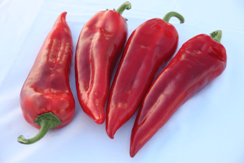 Перец "Корнелия" F1 — изображение 2