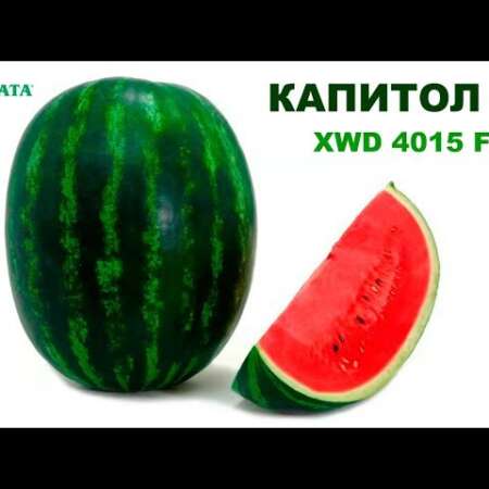 Арбуз "Капитол" F1