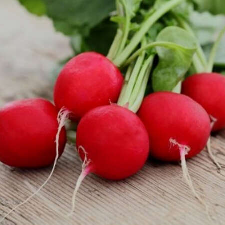 Редис "Цезарь" F1