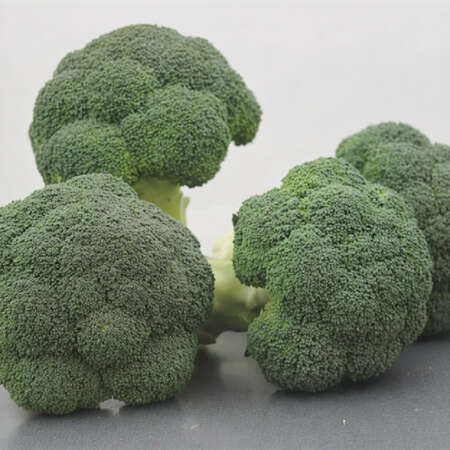 Капуста брокколи "Корос" F1