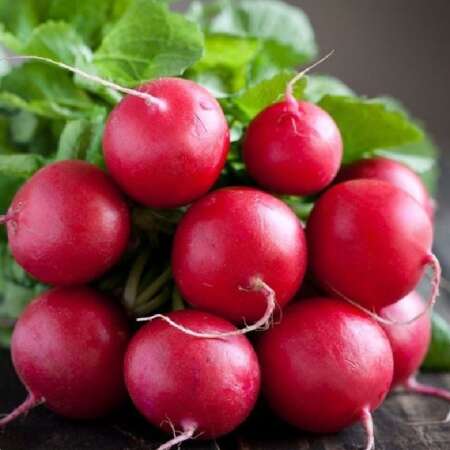 Редис "Глориет" F1