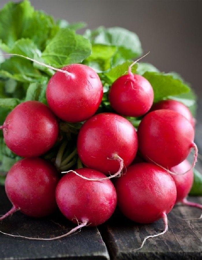 Редис "Глориет" F1