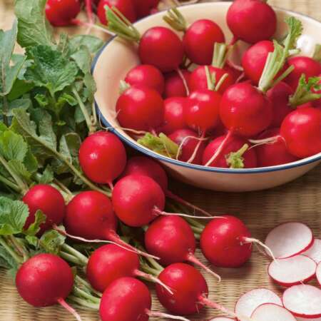 Редис "Пабло"