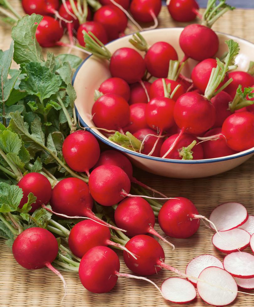 Редис "Пабло"